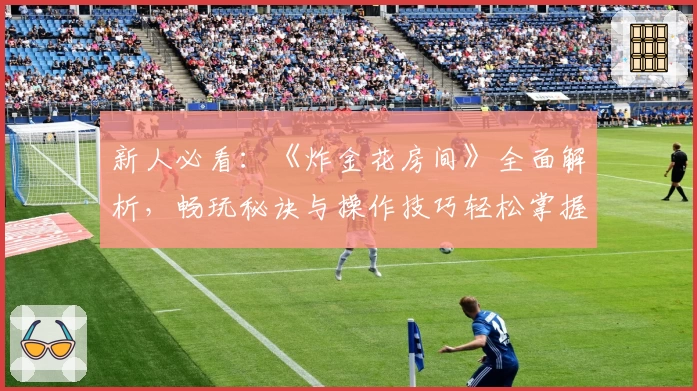 新人必看：《炸金花房间》全面解析，畅玩秘诀与操作技巧轻松掌握