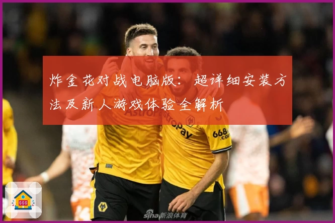 炸金花对战电脑版：超详细安装方法及新人游戏体验全解析