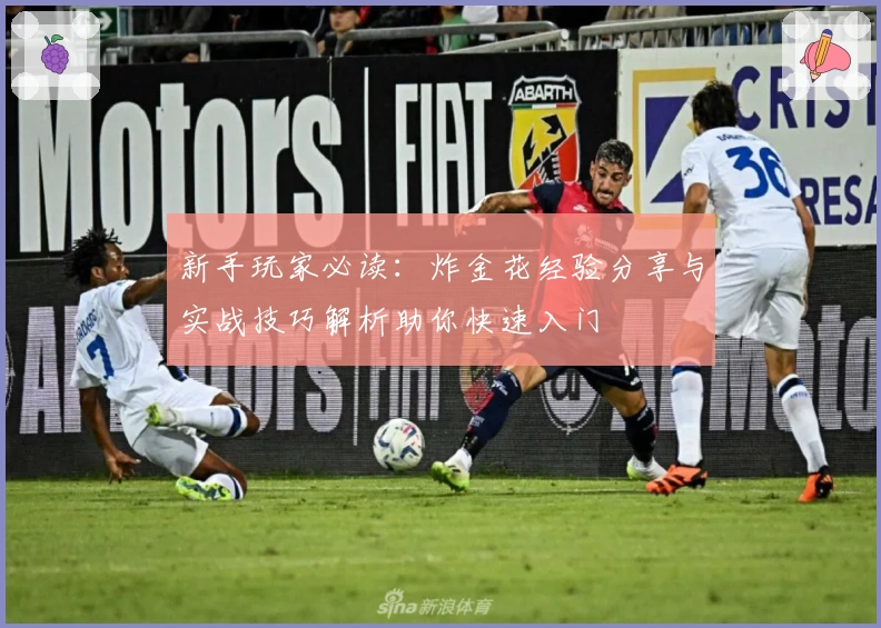 新手玩家必读：炸金花经验分享与实战技巧解析助你快速入门