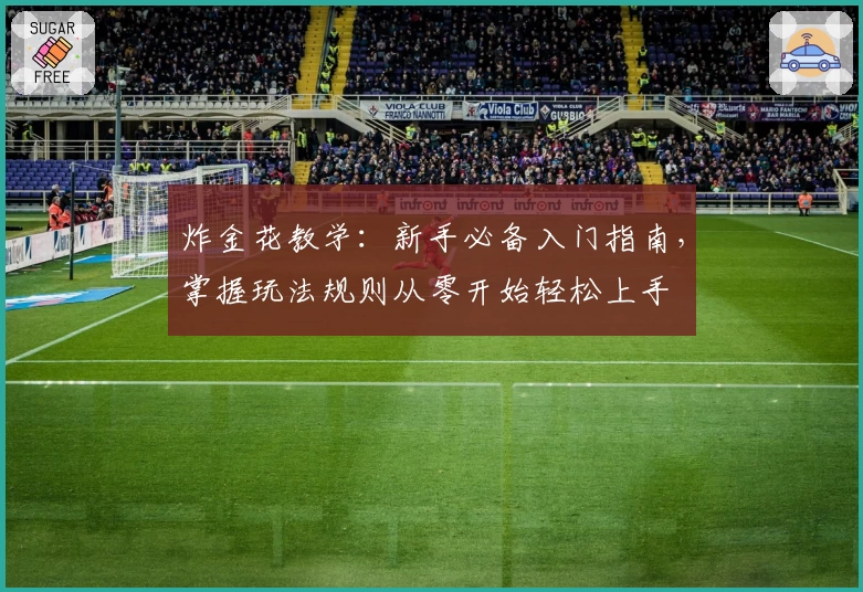 炸金花教学：新手必备入门指南，掌握玩法规则从零开始轻松上手