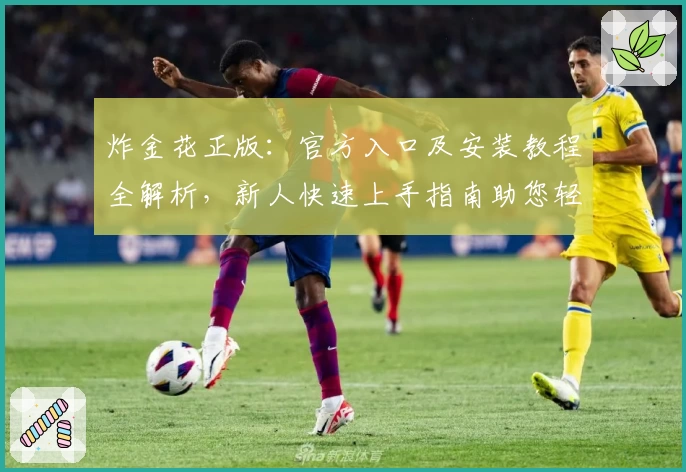 炸金花正版：官方入口及安装教程全解析，新人快速上手指南助您轻松体验互动乐趣