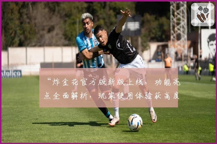 “炸金花官方版新版上线，功能亮点全面解析，玩家使用体验获高度评价”