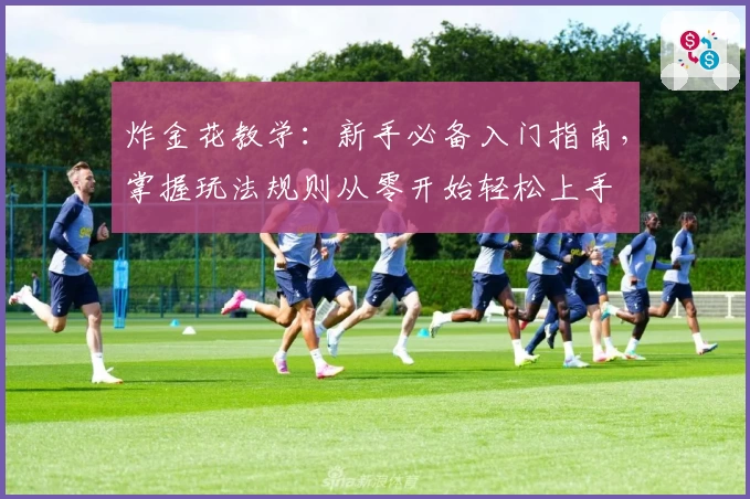 炸金花教学：新手必备入门指南，掌握玩法规则从零开始轻松上手